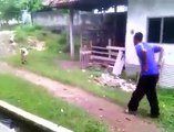 Funny Fight With Young Boy