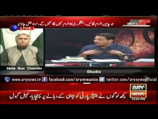 Abidi says there is 'no doubt about killings at PPP office bearers' behest'