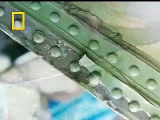 Air Crash Investigation - Most Extraordinary Cases