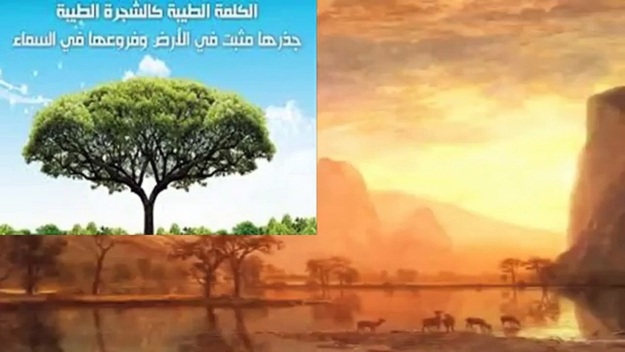 مثل كلمة طيبة - إبراهيم 24-26