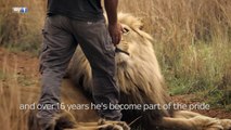 Sky 1 HD - EXCLUSIVE_ Big Cats - An Amazing Animal Family