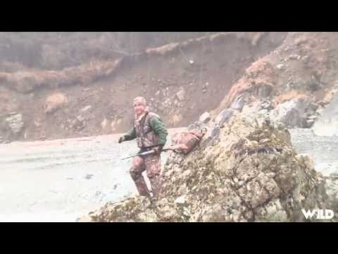 Hunting Grizzly Bears in Alaska Part 1