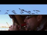 Hunting Canada Goose with The Fowl Life