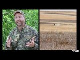 Hunting Whitetail Deer in Montana