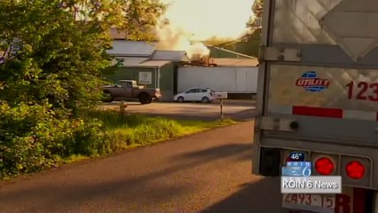 Man falls into meat grinder in gruesome workplace accident