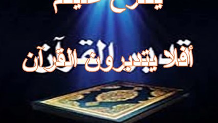 إنما المؤمنون إخوة