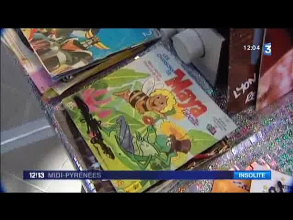 Journal régional FR3 Dimanche 07 02 2016 - Reportage salon Flashback Toulouse