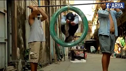 Funny Videos 2016 - Funny Video clips  Facebook