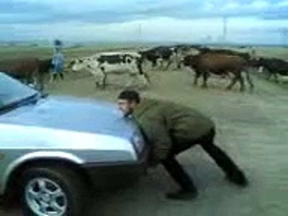 0 99 против ТАДЖИК
