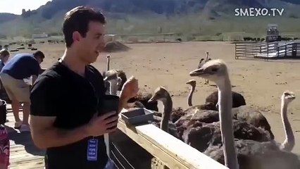 В жизни надо быть наглым