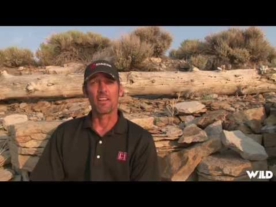 Hunting Winter Coyote at Close Range
