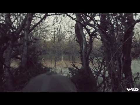 Giant 10 Point White-tailed Deer Bowhunting