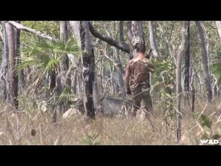 Spear Hunting Water Buffalo in Australia Part 2