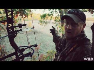 6 Point White-tailed Deer Bowhunting