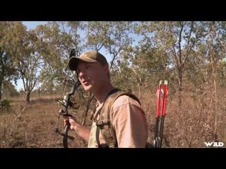 Hunting Water Buffalo with Bow in Australia Part 2