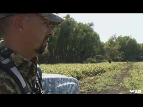 Hunting White-tail Deer on Giles Island in Wisconsin