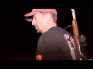 Spotlighting Coyote at Night