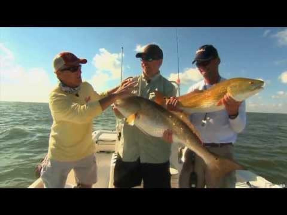 Fishing in Venice