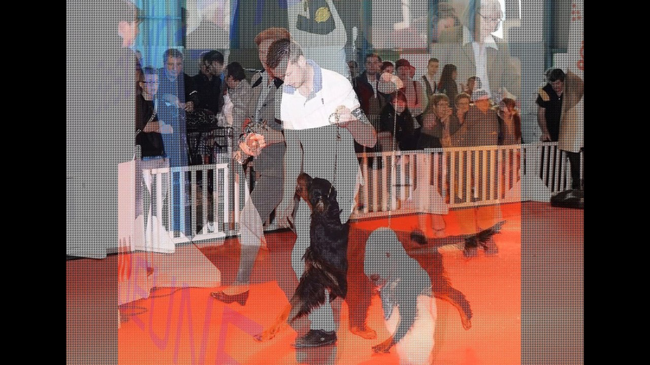 EXPOSITION CANINE de Montluçon 2016
