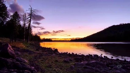 Non Succederà Più - 13 febbraio 2016 - Speciale SanRemo 2016