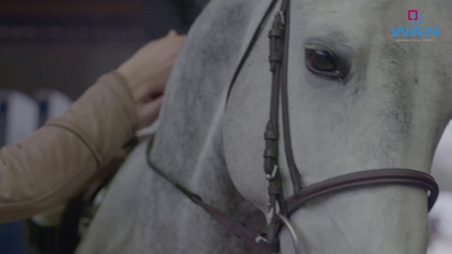 Tournée des As Poneys - Winter Tour de Macon !