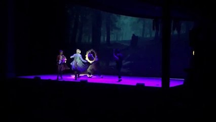 De Gelaarsde Poes - Maarten Heijmans - Hoog tijd (fragment) - Ro Theater (1024p FULL HD)