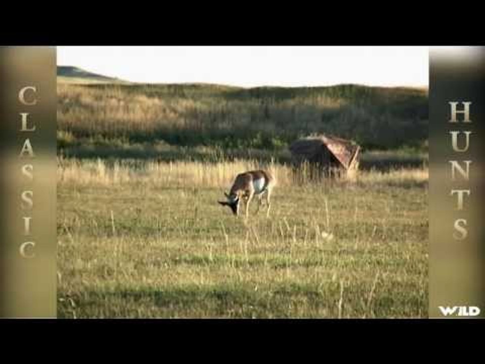 Whitetail Deer Bowhunting The Prairies with The World Hunting Group