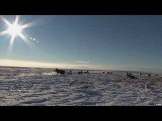 Waterfowl Hunting in Saskatchewan