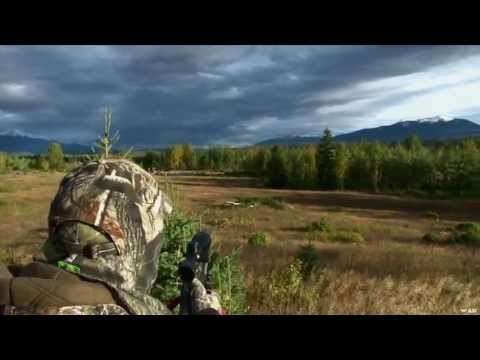 Elk Hunting in BC