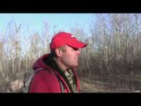 Hunting Whitetail Deer in Alberta