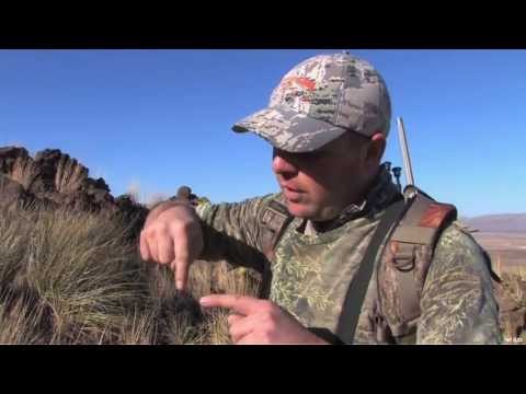 Hunting Barbary Sheep in Texas