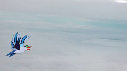 Inside an airplane (sound effect)