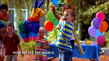 Why Is it so Hard to Swat a Fly?