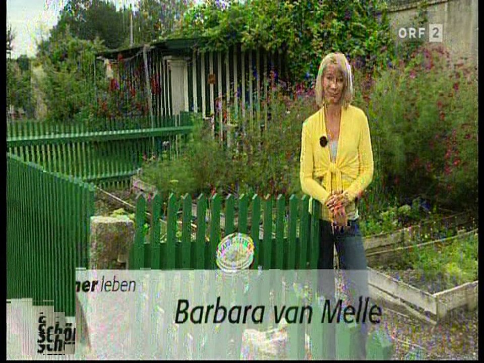 Semino Rossi im Jahr 2011 Im ORF Willkommen Österreich