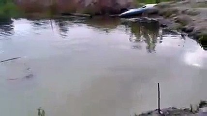 Проверка на верность