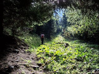 oy dağlar (ÖZLEM ÖZDİL)