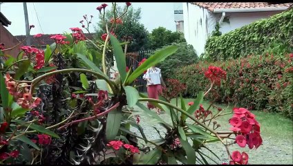 ESQUADRÃO DA MODA 13-02-2016 Parte 1/3
