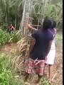 Whatsapp Funny Videos India | Perfect tutorial of How To Cut Down a Tree