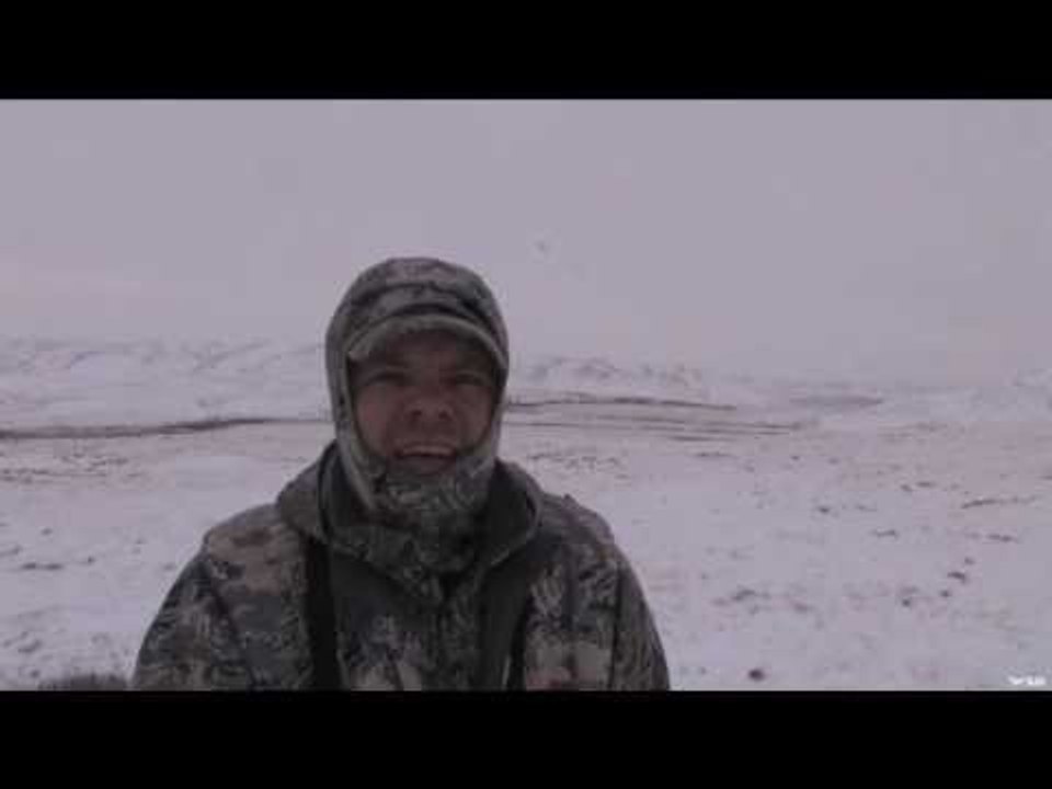 Hunting Monster Mule Deer