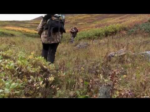 Mountain Goat Hunt in BC (UNCUT)