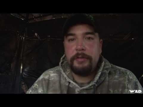 Wild Turkey Hunting in Texas