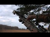 Hunting Deer with Crossbow in Ontario