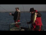 Fishing For Lunker Smallmouth Bass in Ontario