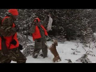 Hunting Snowshoe Hare in Ontario