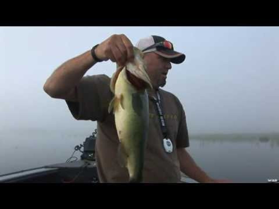Topwater Fishing for Largemouth Bass in Ontario