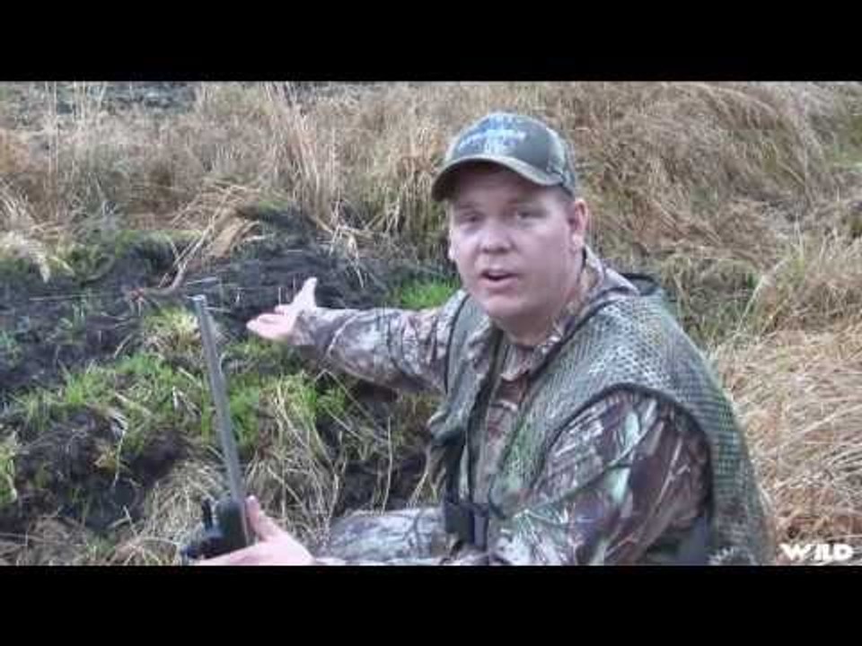 Hunting Wild Boar in Florida