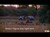 Hunting Canada Goose with John Hunt