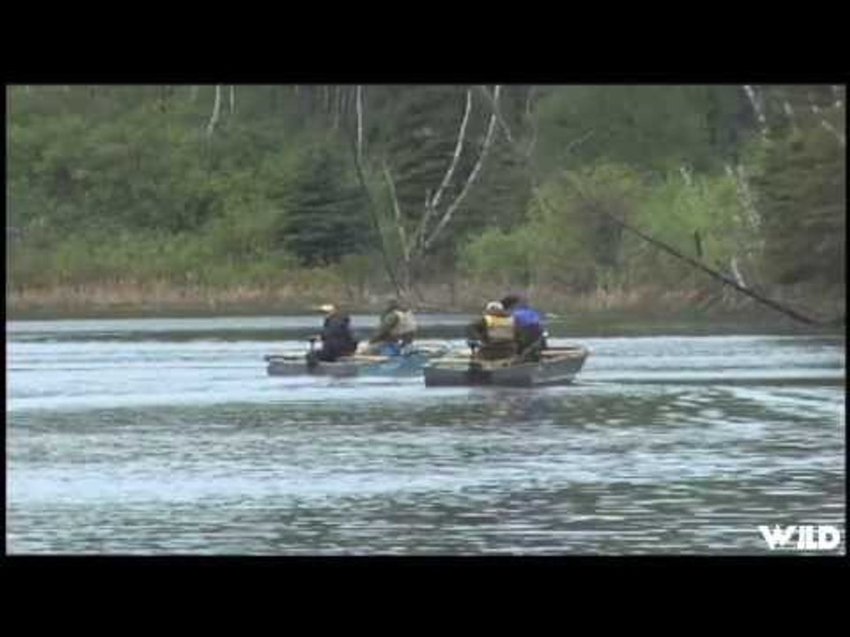 Fly Fishing for Trout on Goose Lake