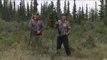 Hunting Dall Sheep in the Yukon