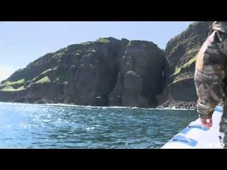 Humpback Whale off the Coast of BC